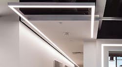 Birchwood Lighting adds linear LED expertise to Leviton&apos;s new lighting business unit.