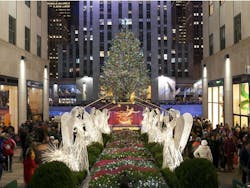 2017 Rock Tree 2017 Rock Tree
