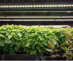 Fluence RAZR lighting from a case study