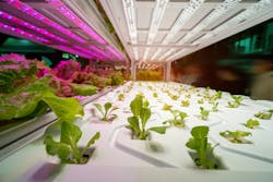 LED horticultural lighting LED horticultural lighting