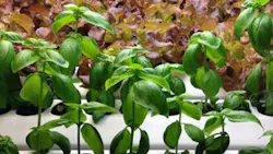 Image courtesy of Acuity Brands Lighting Image courtesy of Acuity Brands Lighting