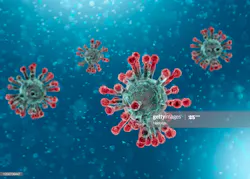 Gettyimages 1200706447 2048x2048 5e98ca509adc6 Gettyimages 1200706447 2048x2048 5e98ca509adc6