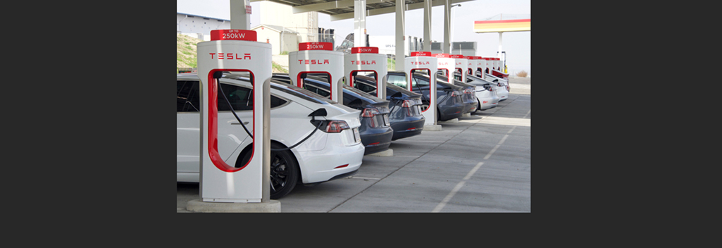 Photo 240291599 Sheila Fitzgerald Dreamstime 1025 64c2c777549b4