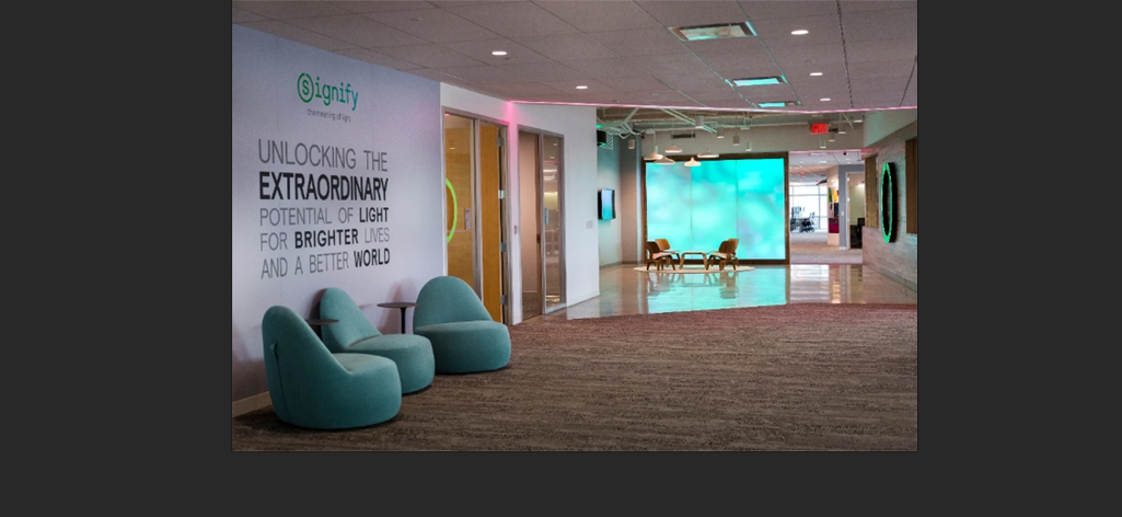 Synergy Signify 64a73fd4eaae1