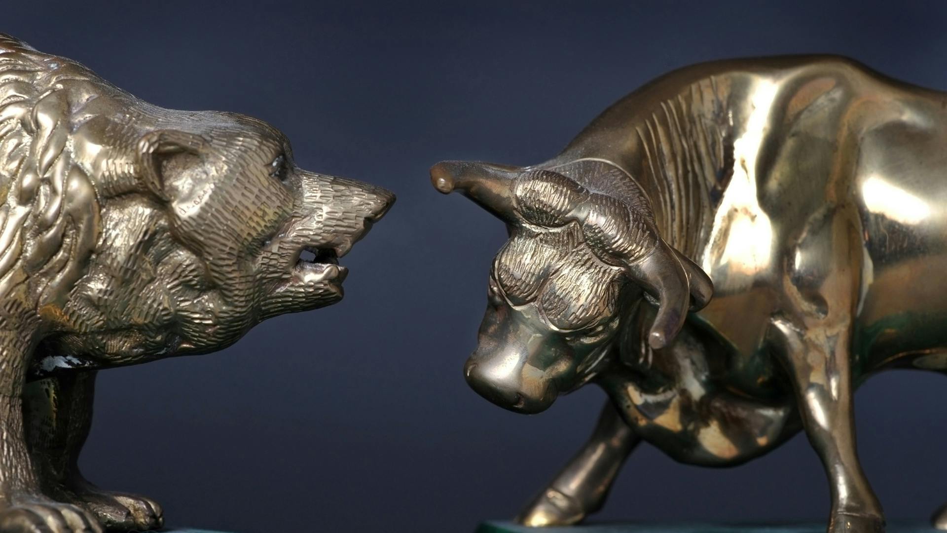 660efad398a395001e88c986 Wall Streetbullbear Photo 7616826 W