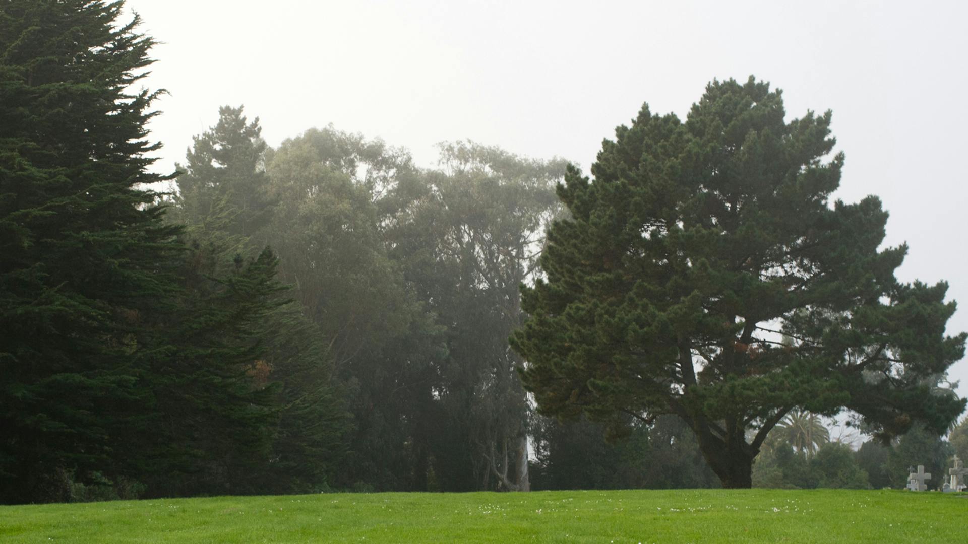 67805277053ebcb7a906ee88 Obituary Photo 57640139 Edenmanusphotography Drea