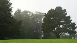 67805277053ebcb7a906ee88 Obituary Photo 57640139 Edenmanusphotography Drea 67805277053ebcb7a906ee88 Obituary Photo 57640139 Edenmanusphotography Drea