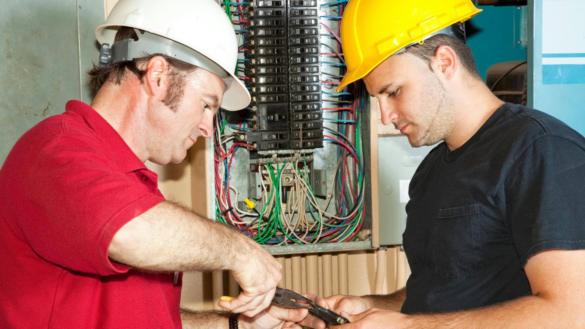 apprentice_electrician_photo_8995992__brian_t